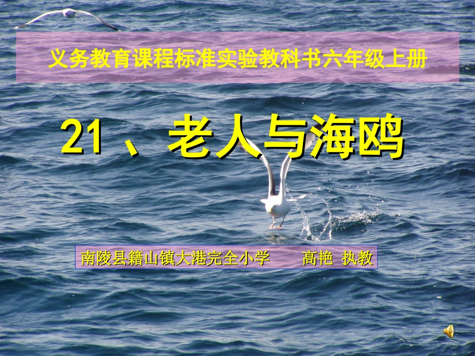 老人与海鸥（夏）_第1页