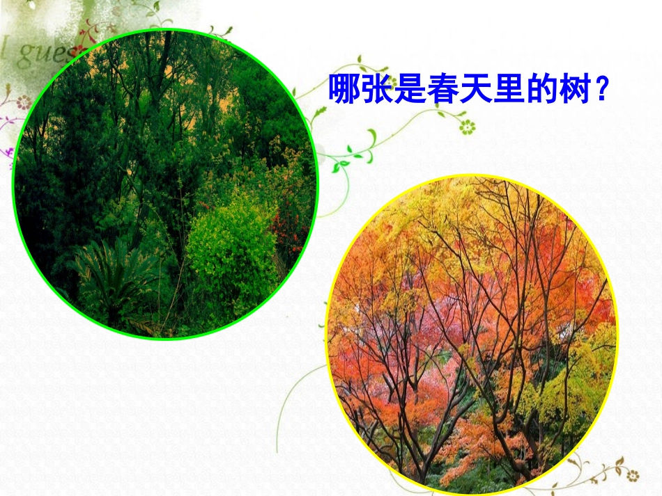 （教科版）三年级科学上册课件植物发生了什么变化_第3页