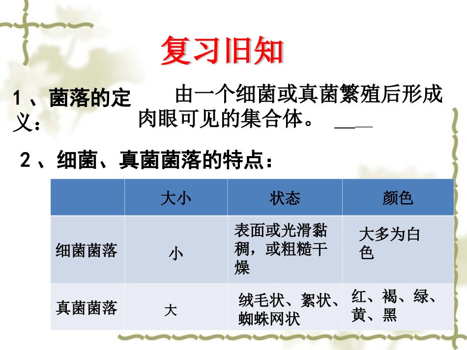 细菌——公开课_第1页