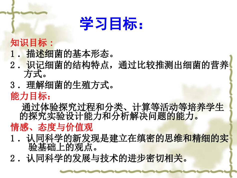 细菌——公开课_第3页