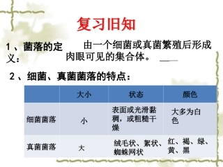 细菌——公开课