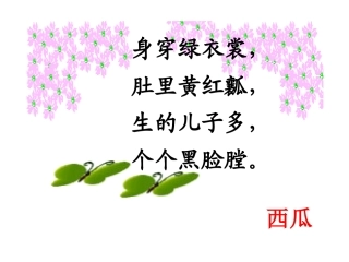 我爱吃的水果