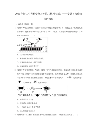 2021年浙江中考科学复习专练(杭州专版)——专题7构成物质的微粒