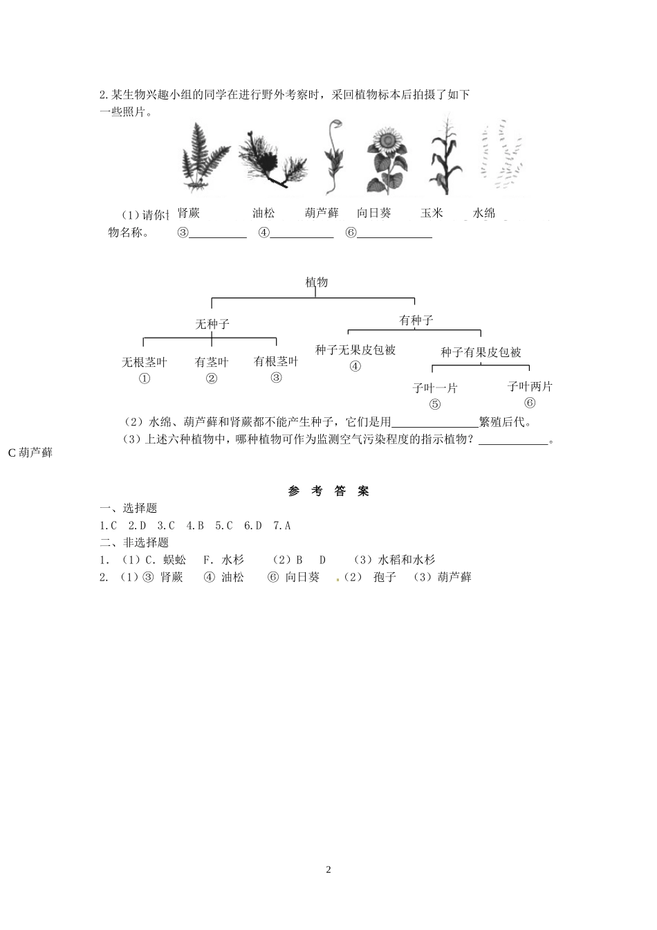 尝试对生物进行分类同步练习_第2页
