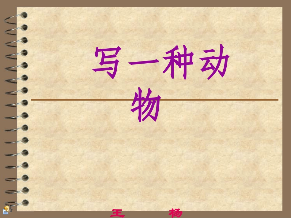 动物写作课件_第1页
