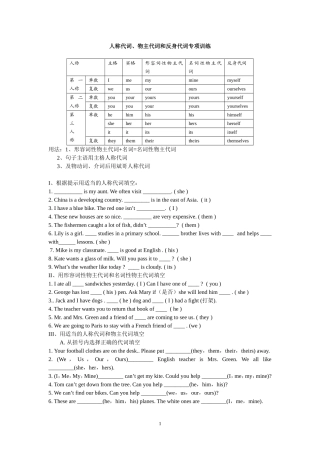 人称代词专项训练