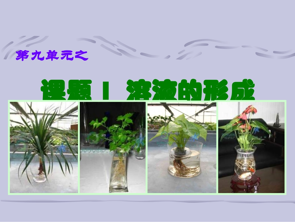 九年级化学溶液的形成3_第2页