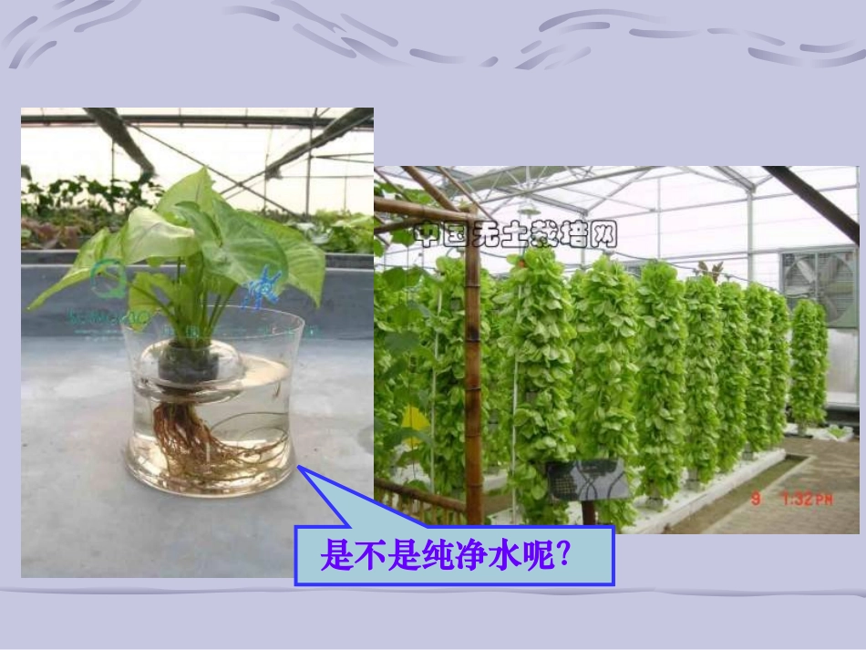 九年级化学溶液的形成3_第3页