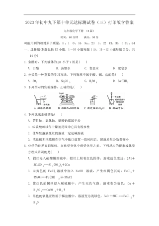 2023年初中九下化学第十单元达标测试卷(三)打印版含答案 