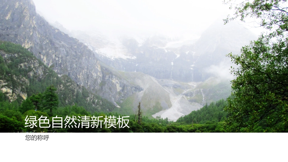 绿色自然清新模板_第1页