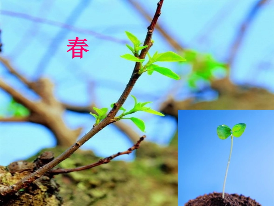 语文S版二年级上册《动物过冬》2_第1页