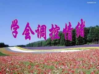 做情绪的主人——学会调节情绪2