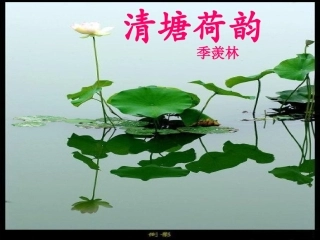 清塘荷韵修改