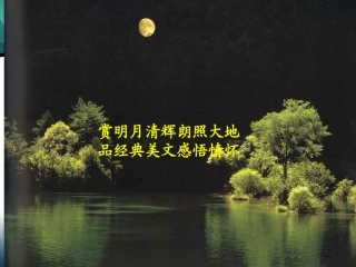 记承天寺夜游 (4)