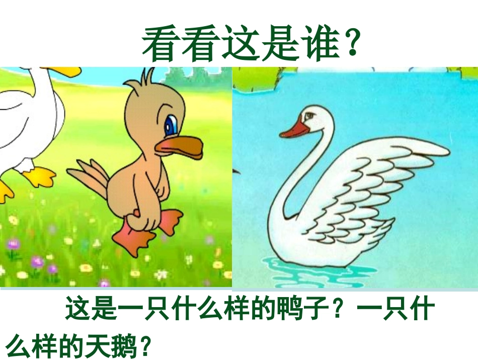 《丑小鸭》司永生_第2页