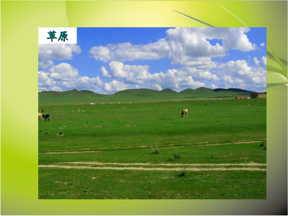 《爱护植被，绿化祖国》课件4_第3页