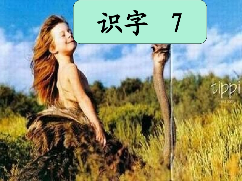 人教版二上识字七_第1页