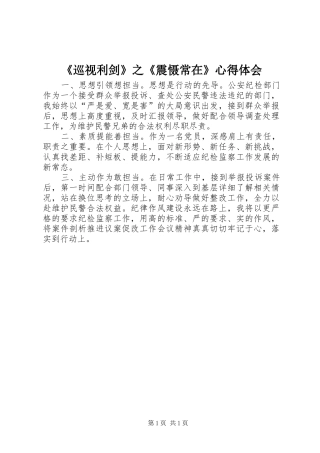 《巡视利剑》之《震慑常在》心得体会