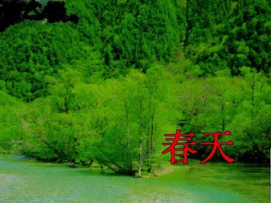 美丽的小兴安岭PPT课件_第3页