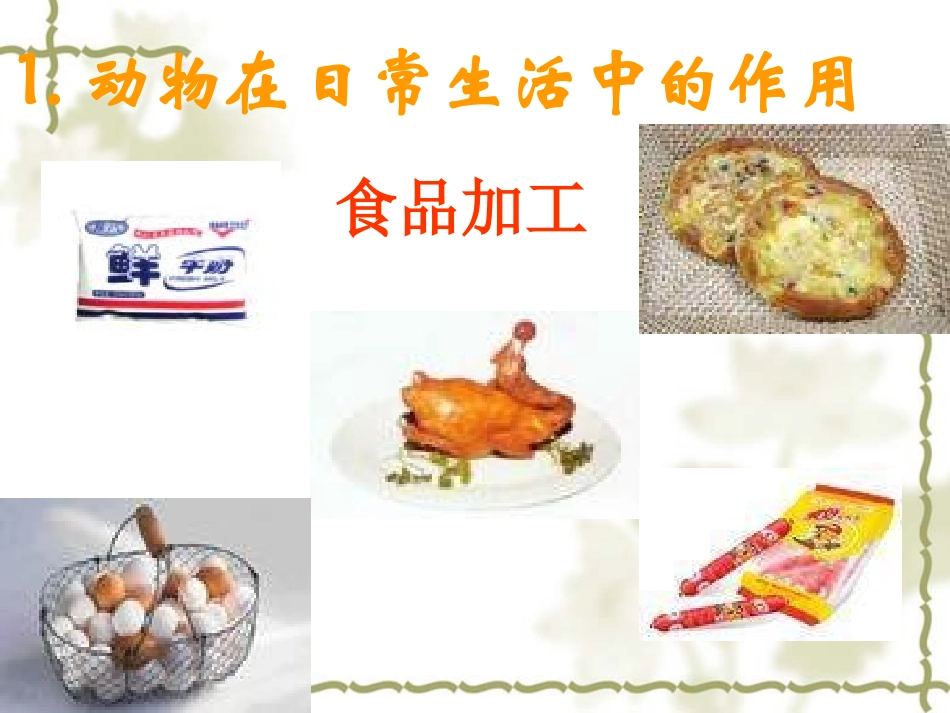 八年级生物动物与人类生活的关系4_第3页