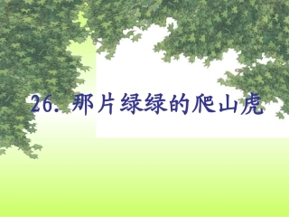 那片绿绿的爬山虎 (3)