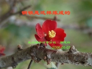 钢铁是这样炼成的