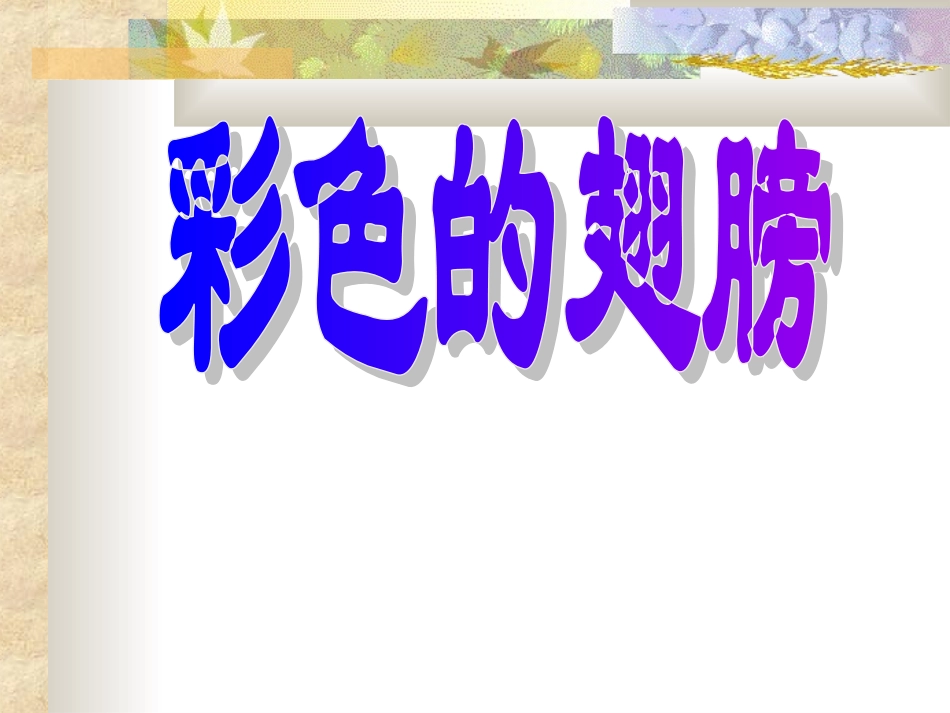 彩色的翅膀 (2)_第1页