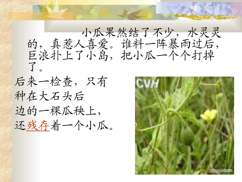 彩色的翅膀 (2)_第2页