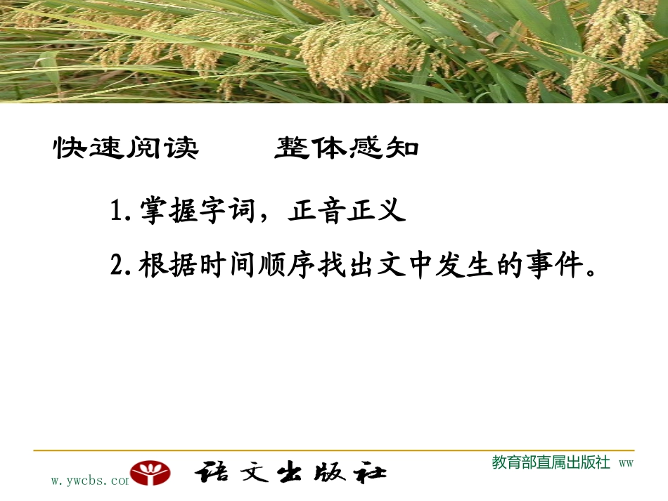 杂交水稻之父——袁隆平_第2页