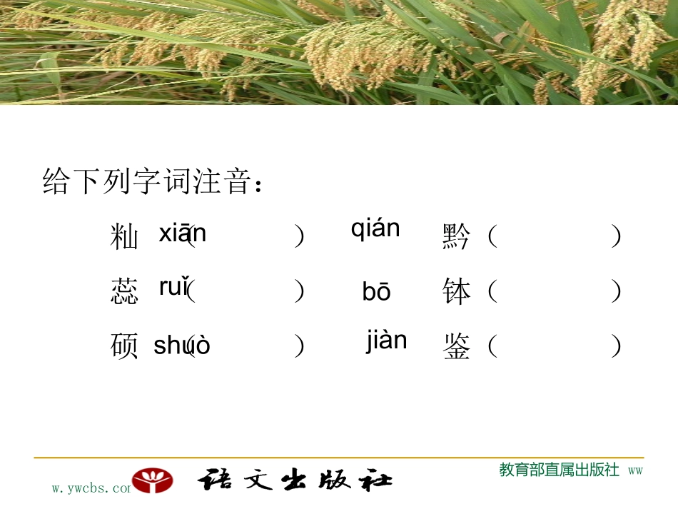 杂交水稻之父——袁隆平_第3页