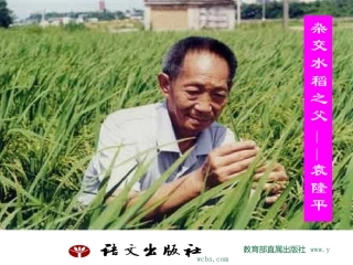 杂交水稻之父——袁隆平