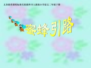 蜜蜂引路课件