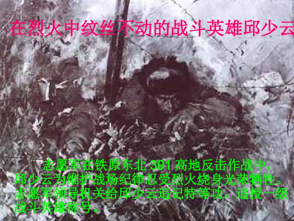 人教版五年级语文下册第14课《再见了_亲人》课件_第3页