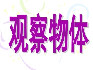 观察物体（1）