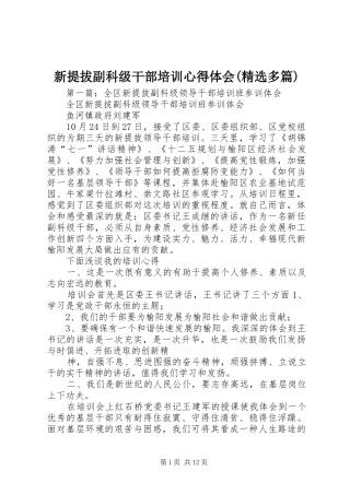 新提拔副科级干部培训心得体会(精选多篇)