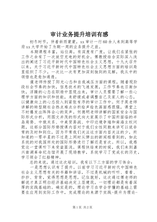 审计业务提升培训有感