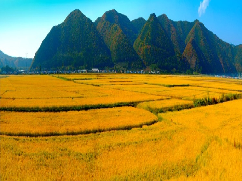 小学美术-留住秋天_第3页