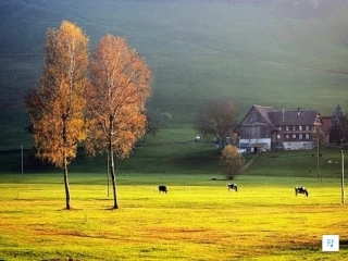 小学美术-留住秋天