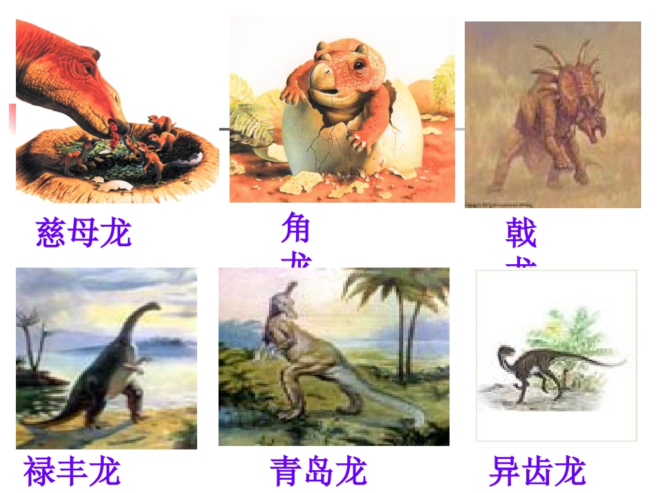 《飞向蓝天的恐龙》课件_第1页