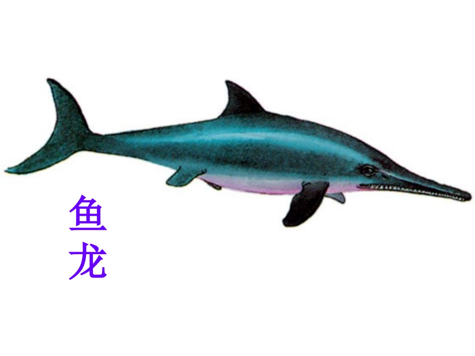 《飞向蓝天的恐龙》课件_第3页