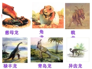 《飞向蓝天的恐龙》课件