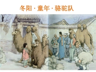 冬阳·童年·骆驼