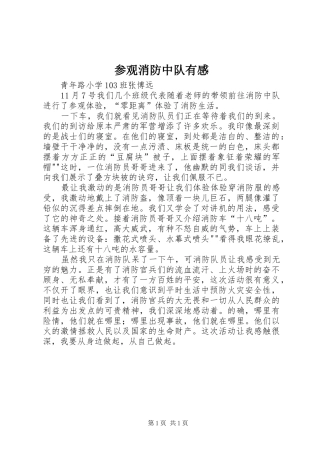 参观消防中队有感