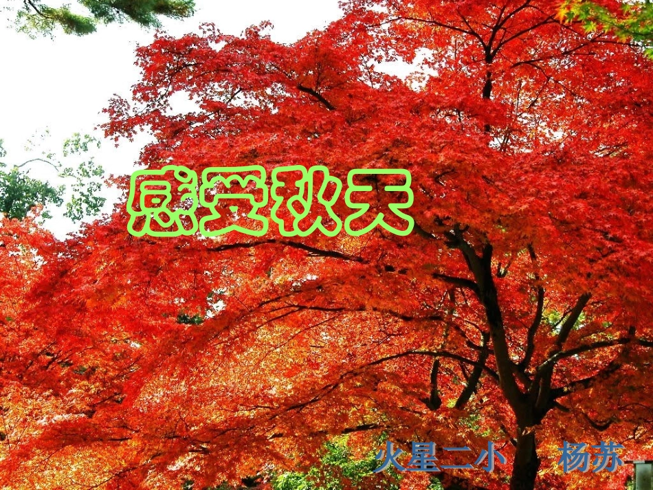 语文园地三 (2)_第1页