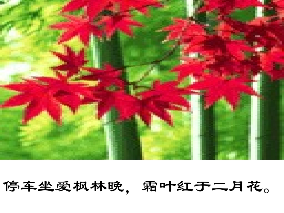 语文园地三 (2)_第3页