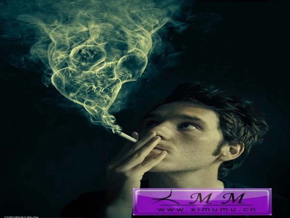 吸烟有害健康_第2页