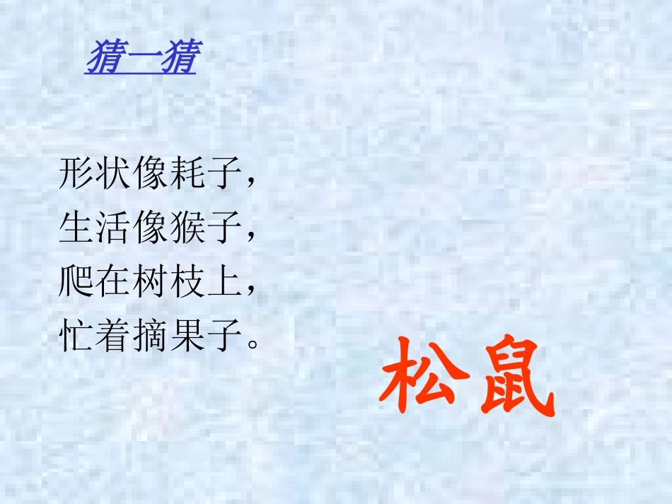 松鼠和松果s_第1页