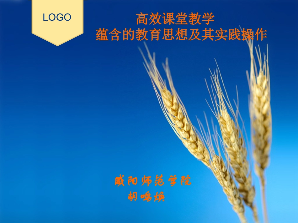 高效课堂理念与模式1~E06D3_第1页