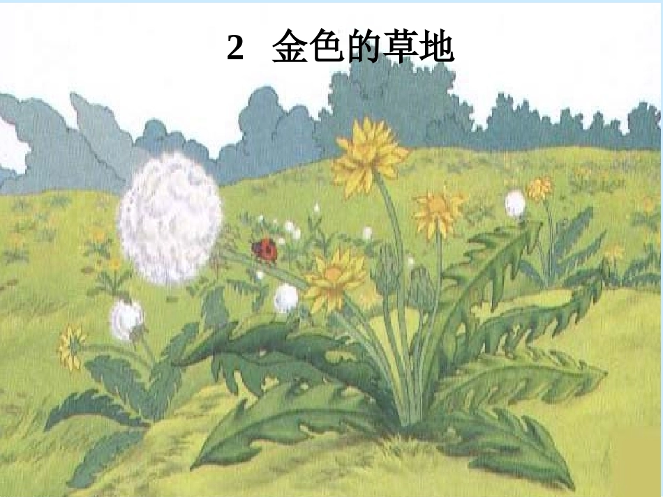 金色的草地PPT_第1页