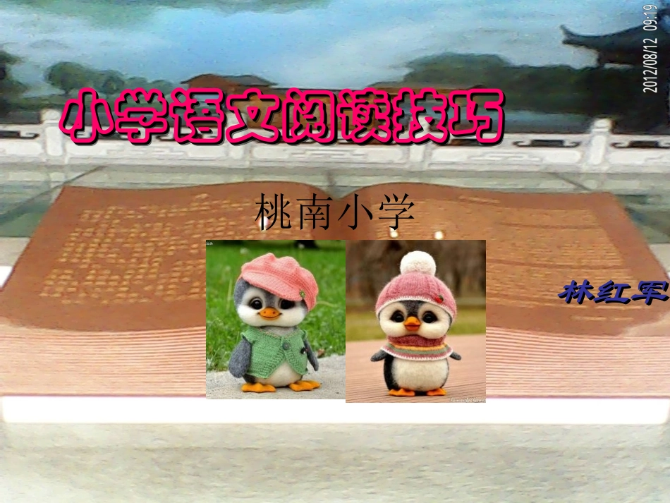 林红军小学语文阅读技巧_第1页